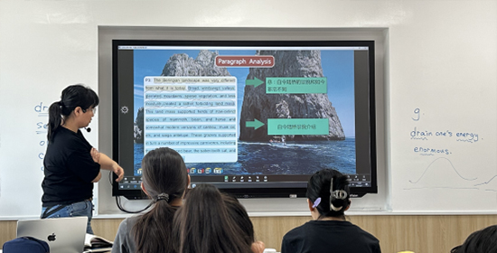 (成都啄木鸟留学)上课实景